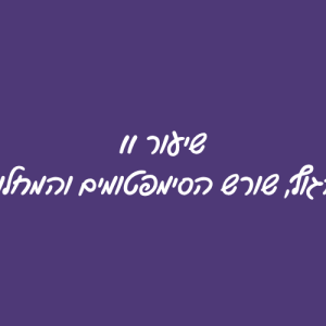 שיעור 11 - הגוף, שורש הסימפטומים והמחלות