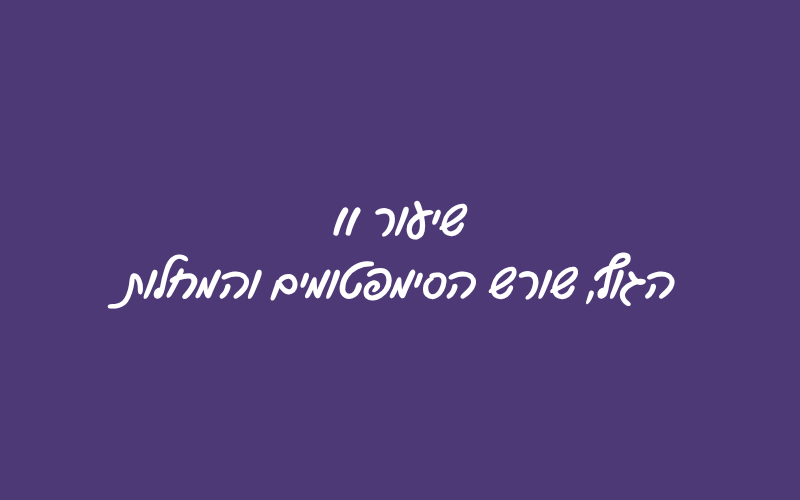 19